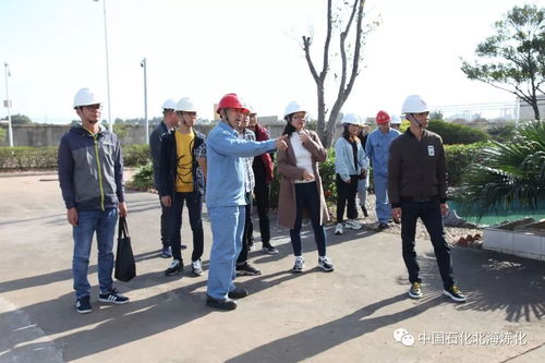 走綠色發(fā)展之路，樹環(huán)保標(biāo)桿企業(yè)——環(huán)境保護(hù)監(jiān)測(cè)的核心使命與實(shí)踐路徑